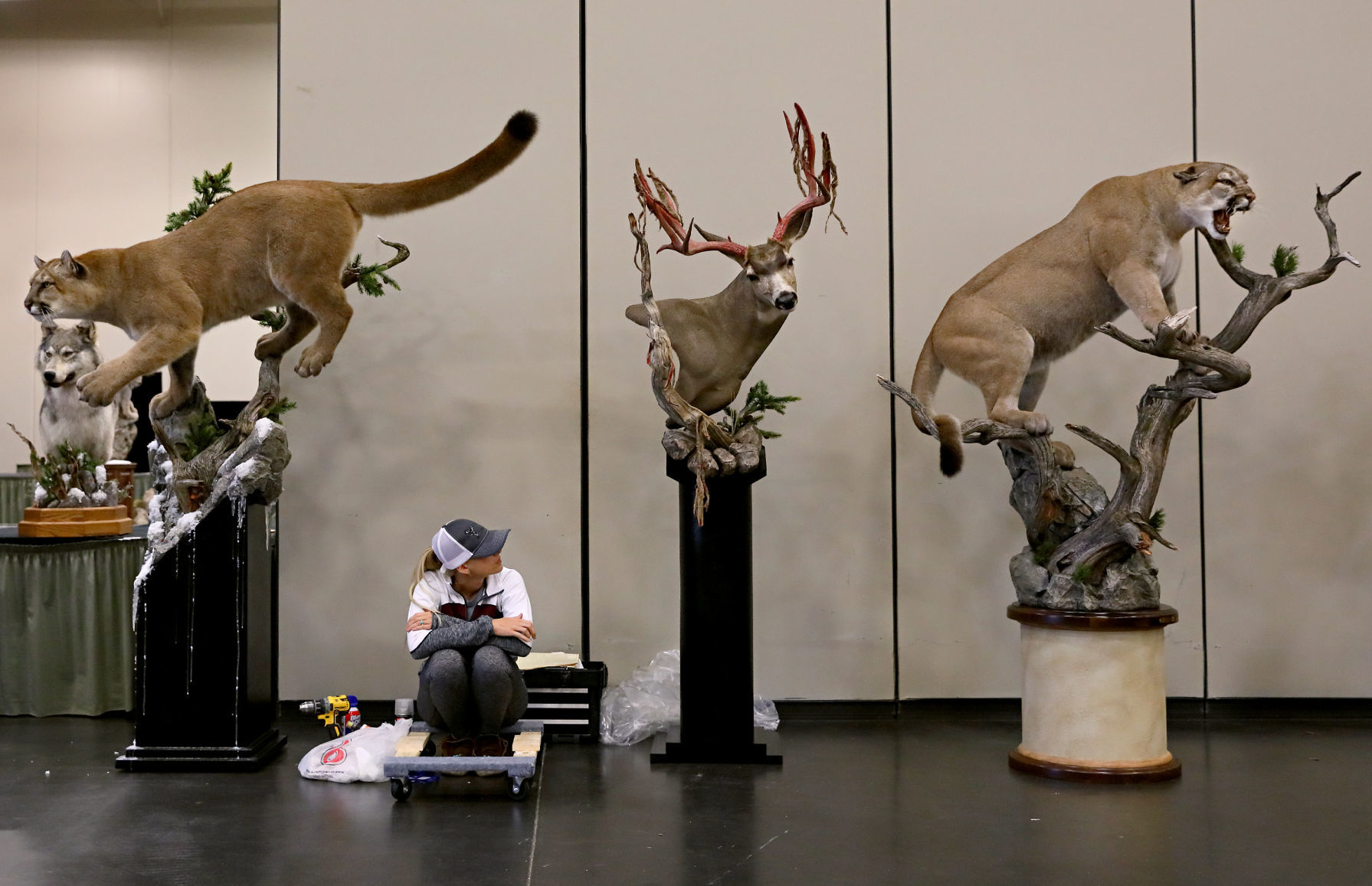 2019 World Taxidermy & Fish Carving Championships in Springfield, Mo.